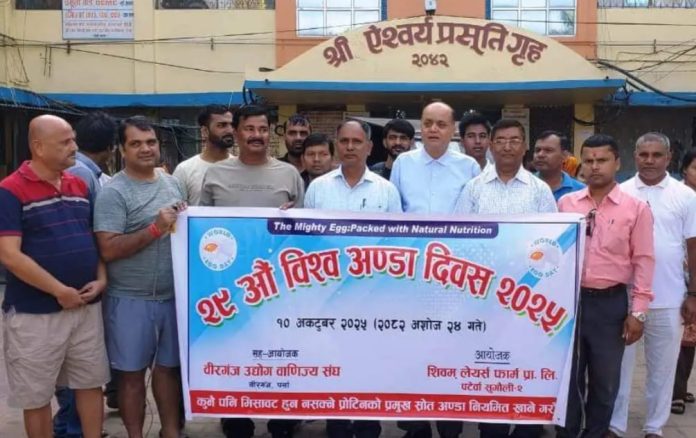 96dcc10a-06ac-4665-b220-36f8932863c0