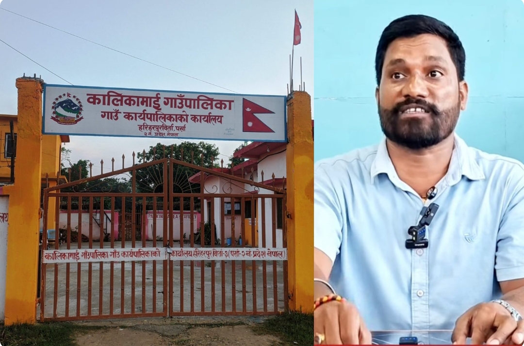 कर्मचारी माथि कुटपिट गरेको आरोपमा कालिकामाई–३ का वडाध्यक्ष पक्राउ, अन्य फारार